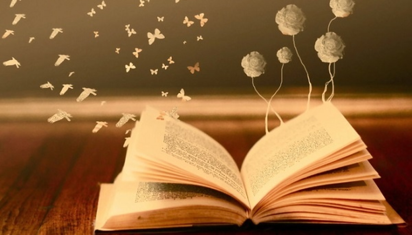 В погоне за книгой