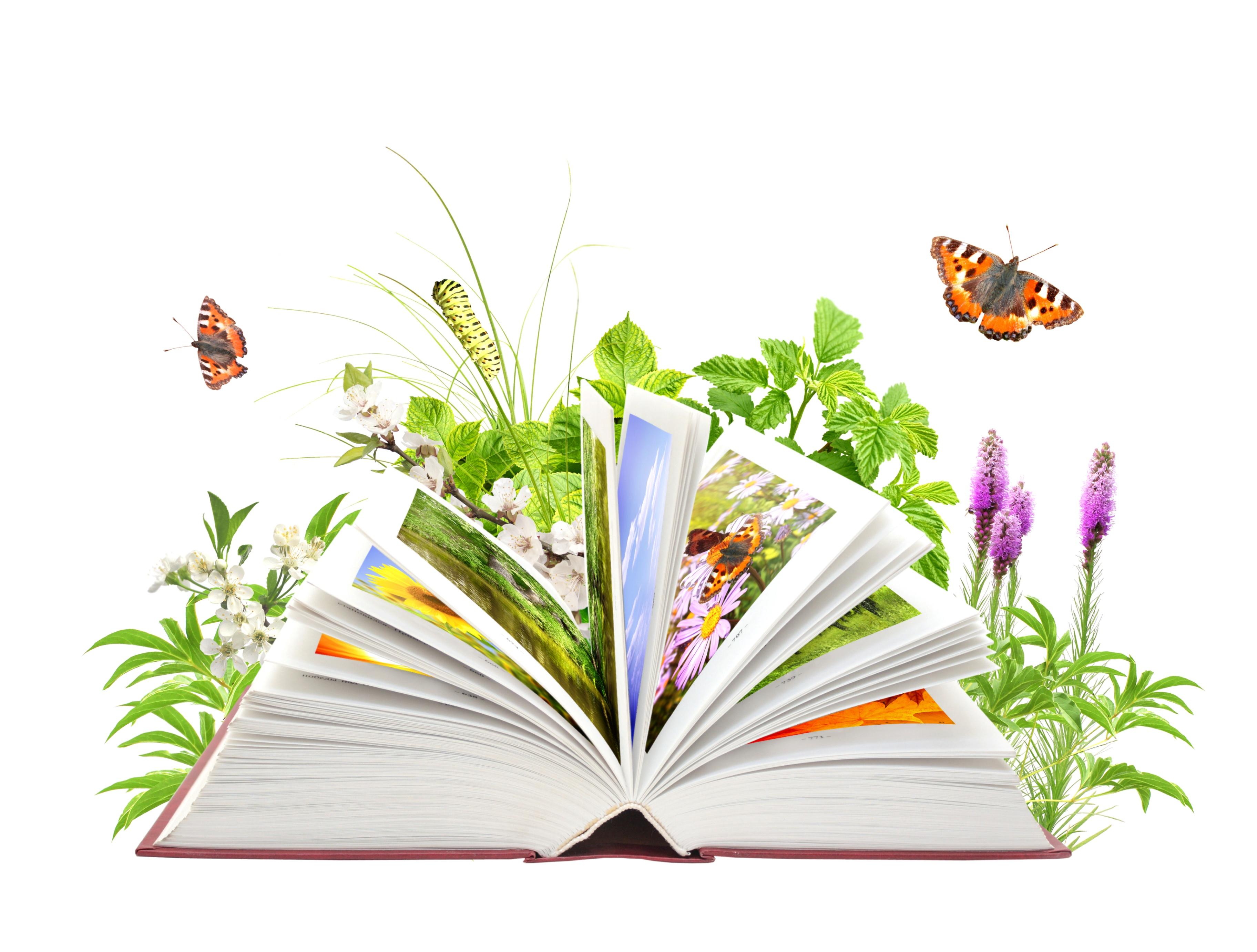 Экологических знаний в библиотеке