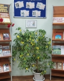 Героическая панорам 